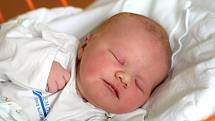 Sebastián Selner se narodil 6. 3. 2019. Maminka Alice Selnerová jej porodila v 8.55 h., vážil 3,91 kg. Doma v krajském městě na něj čekal 2letý bráška Tobiášek.
