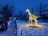 Vánočně nasvícená Zoo Hluboká.