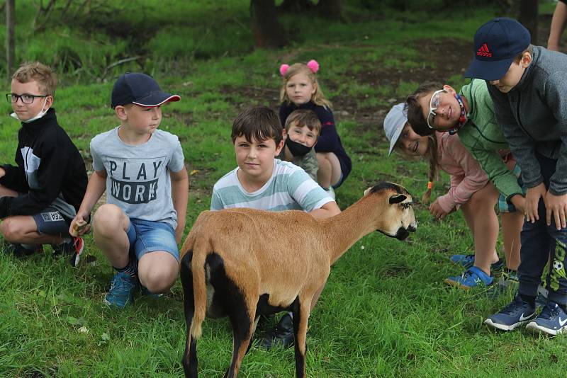 Příměstský tábor VSKH Pohodáři na malé farmě u Pilmanova rybníka v Českých Budějovicích.