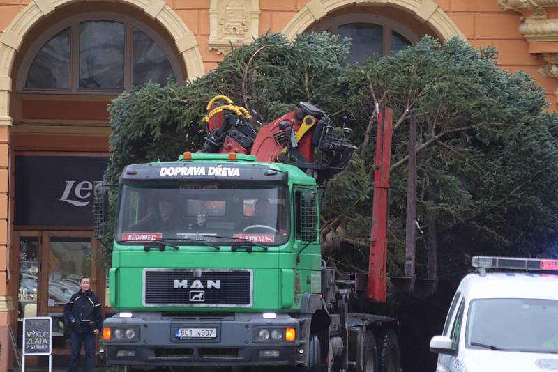 Vánoční strom pro České Budějovice již dorazil na náměstí.