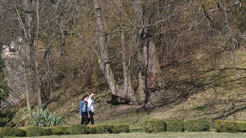Lidé v parcích,u zámku Hluboká a českovrbenských rybnících