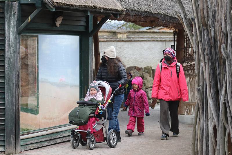 Zoo Ohrada v Hluboké nad Vltavou otevřena