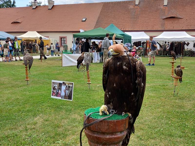 Národní myslivecké slavnosti na zámku Ohrada u Hluboké nad Vltavou, kde sídlí pobočka Národního zemědělského muzea.