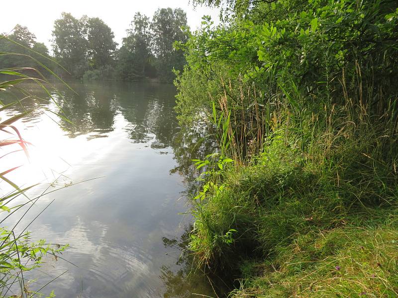 V Jihočeském kraji je řada neoficiálních lokalit, které si oblíbili naturisté. Pokud nechcete potkat naháče, raději se jim vyhněte.