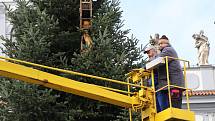 Vánoční strom s policejním doprovodem dorazil pod Černou věž z Nemanic