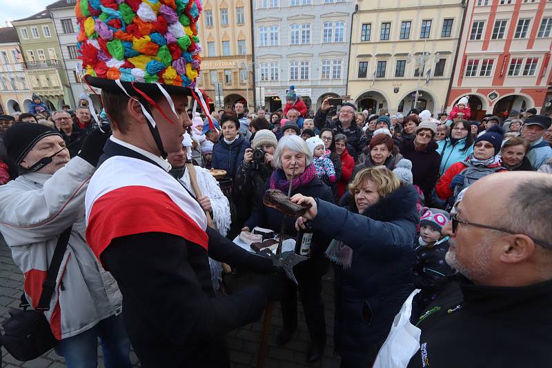 Masopust v Českých Budějovicích