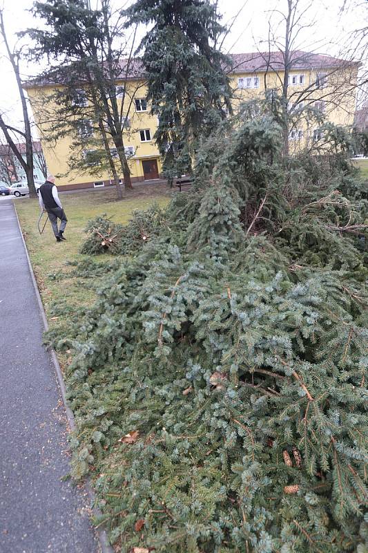 Extrémně silný vítr v Českých Budějovicích na Pražském předměstí vyvrátil stromy.