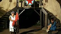 Divadelní soubor Vltavan zpracoval na letní sezónu na vltavotýnském otáčivém hledišti nejslavnější český muzikál podle filmu z roku 1964 v nastudování hostujícího režiséra Jaroslava Kubeše. Straci na chmelu