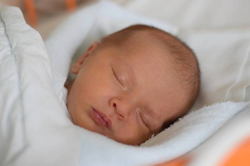 Tereza Moudrá se rodičům Pavle Moudré a Janu Moudrému narodila 1. 3. 2018 v 16.09 h. Její porodní váha byla 3,02 kg. Žít bude v jihočeské metropoli.