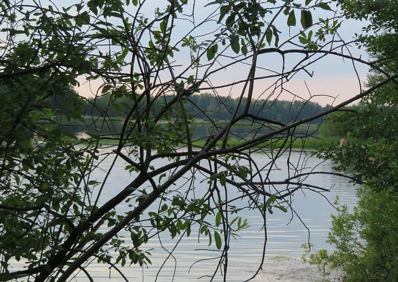 V Jihočeském kraji je řada neoficiálních lokalit, které si oblíbili naturisté. Pokud nechcete potkat naháče, raději se jim vyhněte.