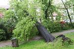 Strom spadl v ulici Na sadech v Českých Budějovicích do troleje. Doprava v krajském městě kolabuje.