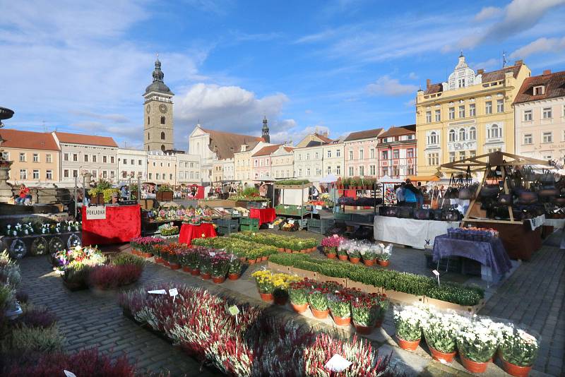 Švestkové trhy na českobudějovickém náměstí Přemysla Otakara II. přilákaly mnoho kolemjdoucích.