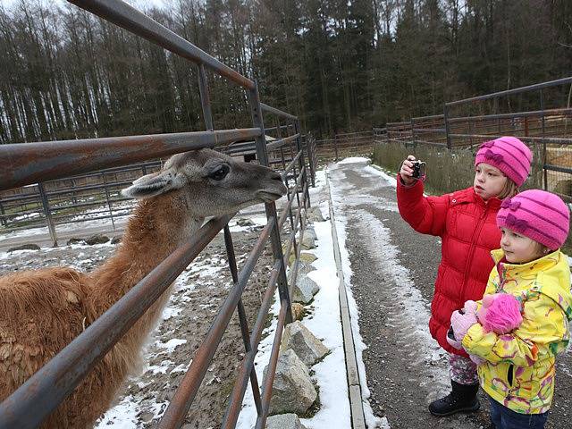 Zoologická zahrada Dvorec.