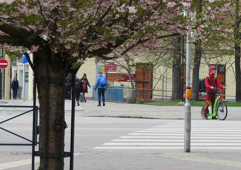 Ulice Českých Budějovic se pohybuje muž v sutaně s velkým dřevěným křížem, nejčastěji se má vyskytovat na Senovážném náměstí, kolem pošty a Lannově třídě.