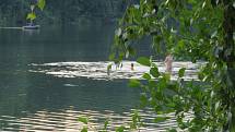 V Jihočeském kraji je řada neoficiálních lokalit, které si oblíbili naturisté. Pokud nechcete potkat naháče, raději se jim vyhněte.