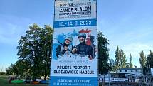 Trénink vodních slalomářů na mistrovství Evropy do 23 let v Českém Vrbném.