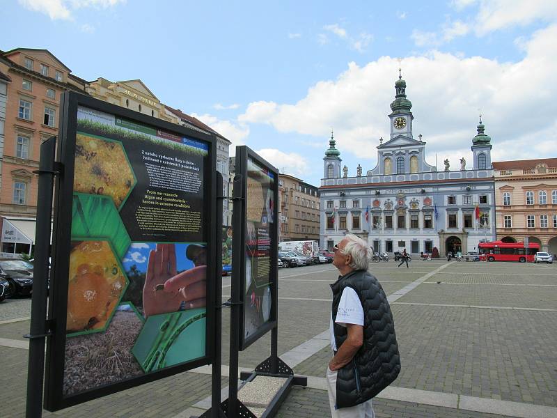 Informace o půdě jsou od pondělí 22. června do středy 22. července k vidění na náměstí Přemysla Otakara II.