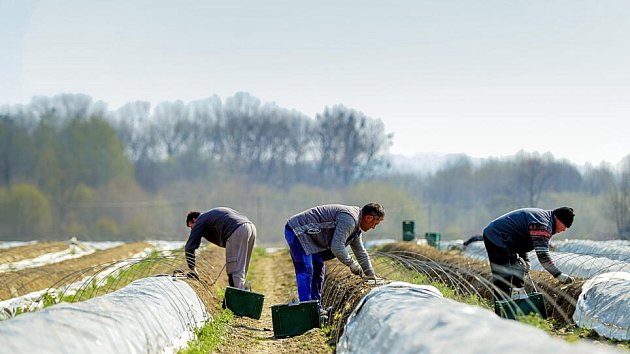 Ilustrační foto.