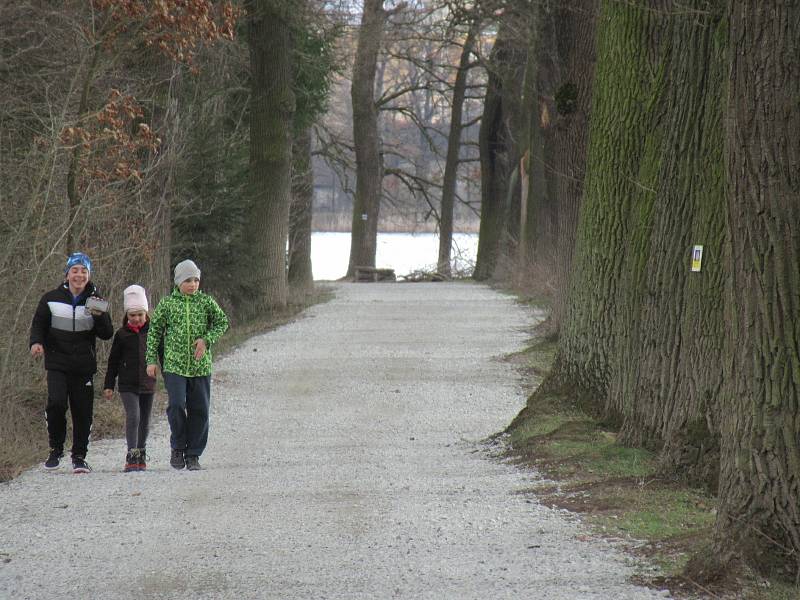 Přírodní rezervace leží na severozápadním okraji Českých Budějovic a má rozlohu 245,8 ha. Zahrnuje čtyři rybníky, mokřady a louky. Vyznačuje se bohatou a unikátní faunou i flórou.