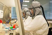 Biologické centrum AV ČR získalo povolení analyzovat vzorky na koronavirus a začne testovat.