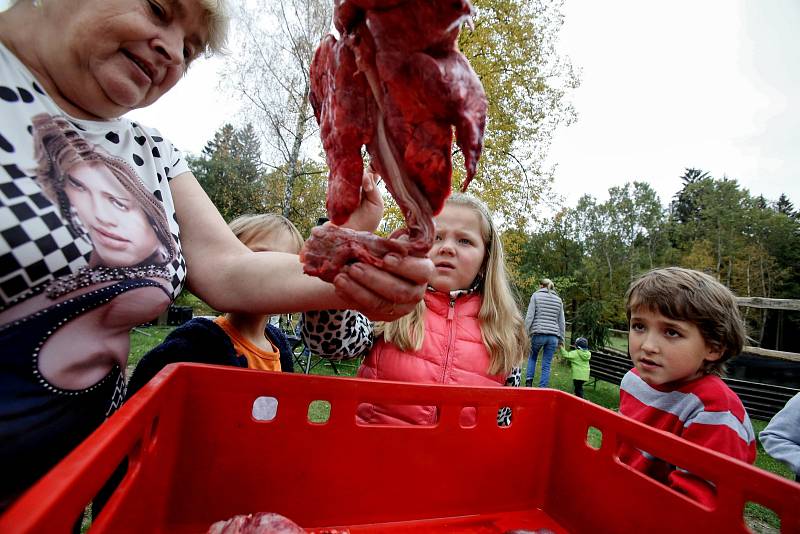 Klasickou českou zabijačku a všechno, co k ní patří, předvedli v sobotu lidem na Borovanském mlýně. Závodilo se i v přípravě nejlepší jitrnice.