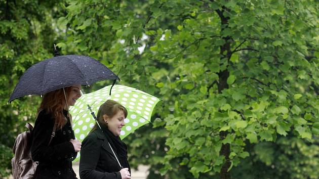 Srážky jsou na Třebíčsku oproti jiným okresům třetinové