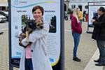 Agility park - psí hřiště, rozpočet 615 tisíc korun. Zuzana Čapková chce umožnit v okolí Palackého náměstí a Pražského předměstí volné venčení a výcvik psů.