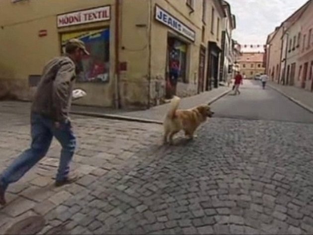 Prachatice zažily scény Jiřího Schmitzera se psem. Pohled z Kostelního náměstí do ulice Křišťanova. V domě  je dnes kavárna.