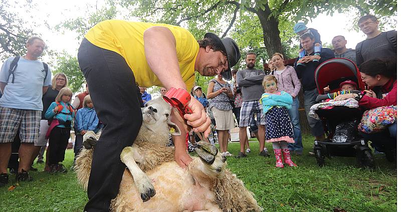 Ovčácké slavnosti proběhly v neděli v zámecké zahradě v Borovanech