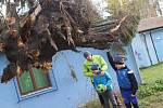 Spadlý strom na budovu sportovního zařízení u Malého jezu v Českých Budějovicích.