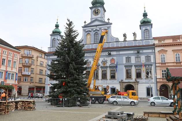Vánoční strom z Litvínovic už na českobudějovickém náměstí Přemysla Otakara II.