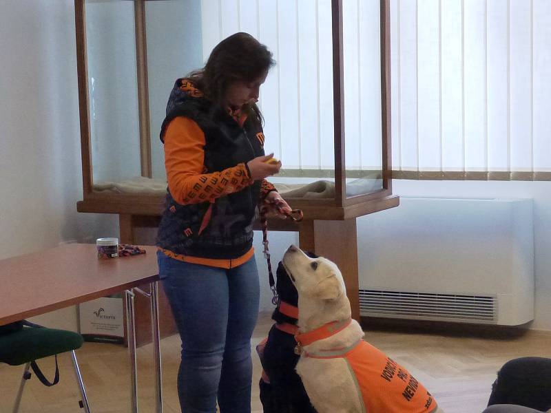 Nevidomá Blanka Stará přiblížila studentům problémy nevidomých a představila jim své vodicí psy.