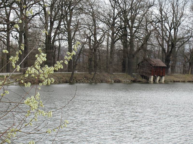 Přírodní rezervace leží na severozápadním okraji Českých Budějovic a má rozlohu 245,8 ha. Zahrnuje čtyři rybníky, mokřady a louky. Vyznačuje se bohatou a unikátní faunou i flórou.