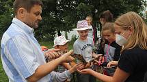 Příměstský tábor VSKH Pohodáři na malé farmě u Pilmanova rybníka v Českých Budějovicích.