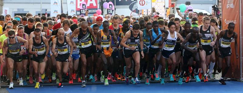 Mattoni 1/2Maraton 2016 v Českých Budějovicích.