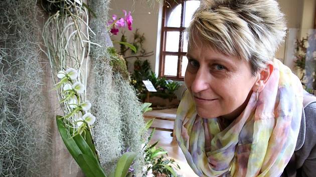 Orchideje, ale i sukulenty a další exotické rostliny nyní zdobí budovu Jihočeského muzea v Českých Budějovicích.