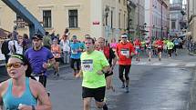 Závodníci Mattoni 1/2Maratonu 2016 v Českých Budějovicích.