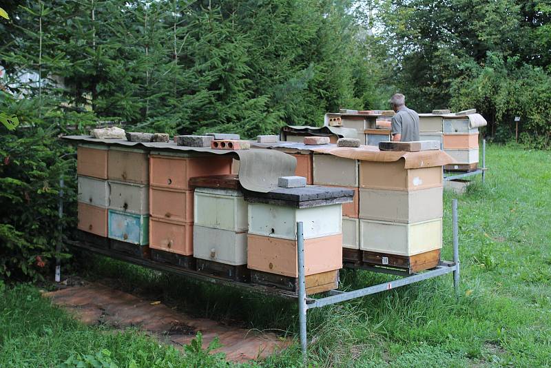 Českobudějovičtí včelaři otevírají nový kurz pro začínající včelaře, Včelařem na zkoušku.