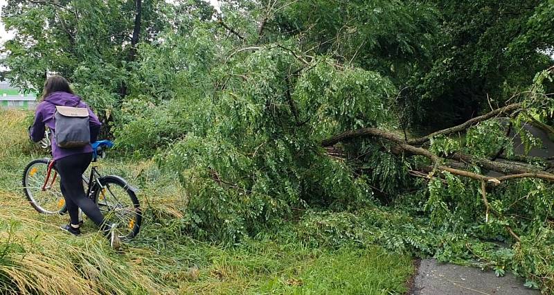 Nevídaná bouřka poničila sportovcům cyklistickou stezku České Budějovice - Hluboká