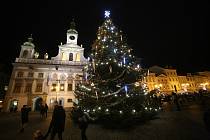 Vánoční strom v centru Budějovic v roce 2020.