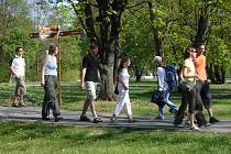 Stromovka patří k velmi vyhledávaným místům českobudějovických obyvatel. V letních měsících park navštěvují stovky lidí. 