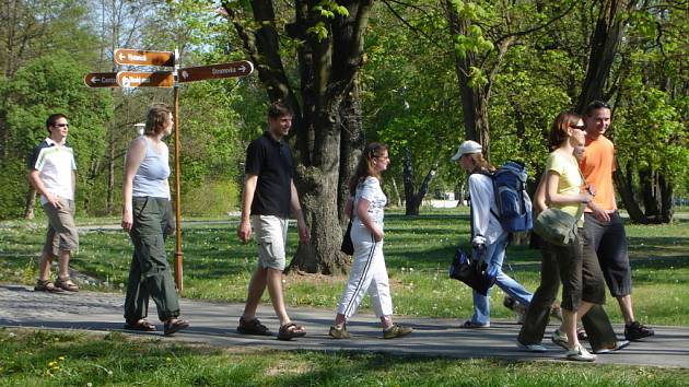 Stromovka patří k velmi vyhledávaným místům českobudějovických obyvatel. V letních měsících park navštěvují stovky lidí. 