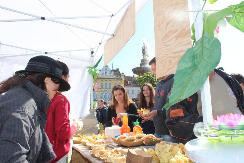 Festival Ahoj Vietname v Českých Budějovicích