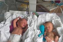 Šestého června přišla v českokrumlovské nemocnici na svět dvojčata Hynek (vlevo) a Leontýnka (vpravo) Tomanovi. Hynek se narodil ve 2.26 h., Leontýnka přišla na svět o minutu později ve 2.27 h. Chlapeček po porodu vážil 2,27 kg, holčička 2,79 kg. Doma v H