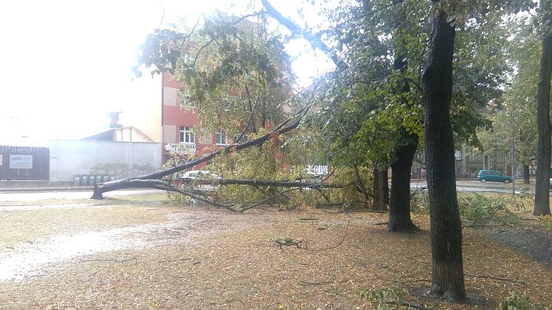 Palackého náměstí v Českých Budějovicích po přívalovém dešti v pátek 24. srpna odpoledne.