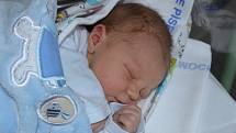 Kryštof Nesvadba, Pohorovice. Prvorozený syn Petry a Radima Nesvadbových se narodil 14. 11. 2022 v 8.28 hodin. Při narození vážil 3350 g a měřil 48 cm.