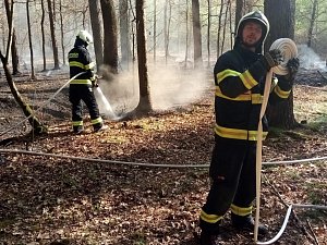 Požár lesa u Mydlovar likvidovali hasiči z Českých Budějovic a JSDHO obcí Mydlovary, Hluboká nad Vltavou a Zliv.