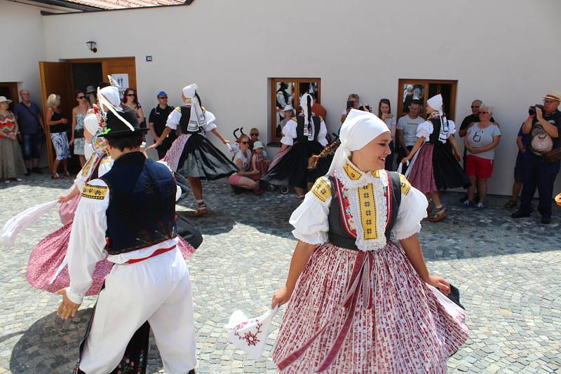 V sobotu začalo v Borovanech tradiční Borůvkobraní. Bohatý program si můžete užít i v neděli.