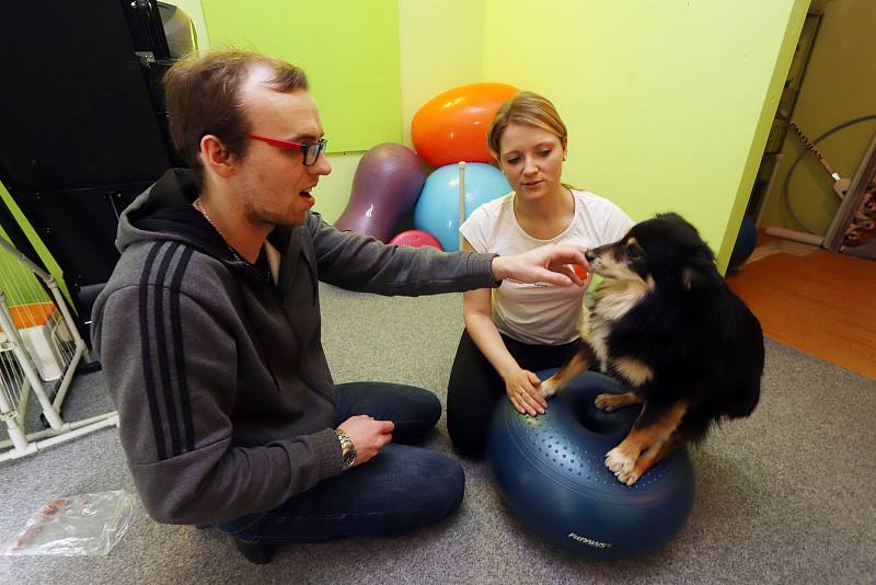 Dogfitness v Českých Budějovicích.