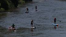 4. ročník MČR v říčním maratonu na paddleboardu. Jelo se ze Zlaté Koruny do Boršova nad Vltavou.